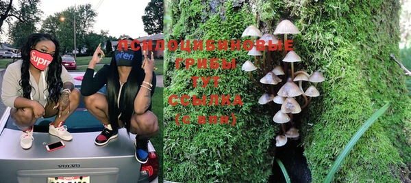 каннабис Снежногорск